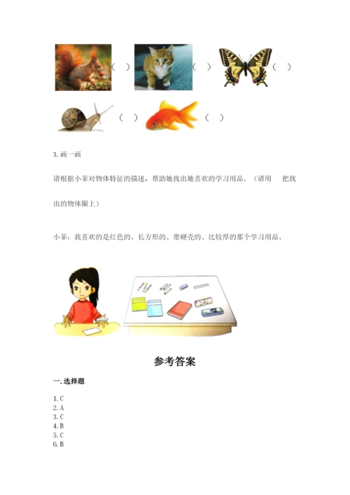 教科版小学科学一年级下册期末测试卷（夺冠系列）.docx