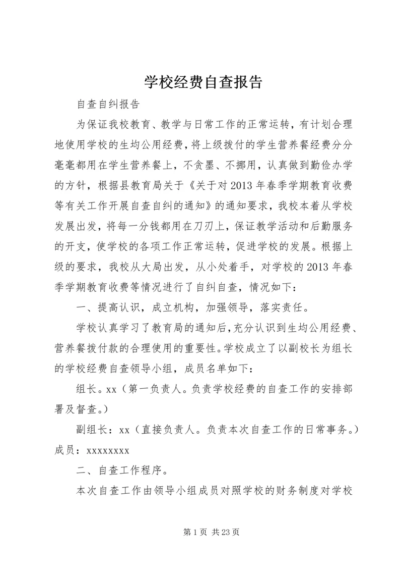 学校经费自查报告.docx