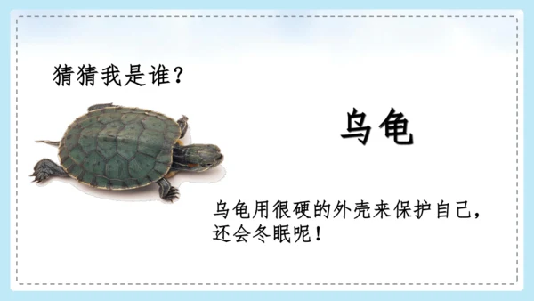 统编版语文二年级上册 课文1  口语交际 有趣的动物  课件