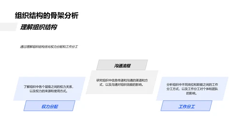 组织行为学解析