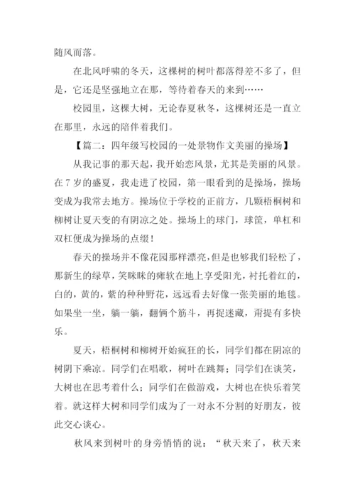 描写校园的一处景物作文.docx