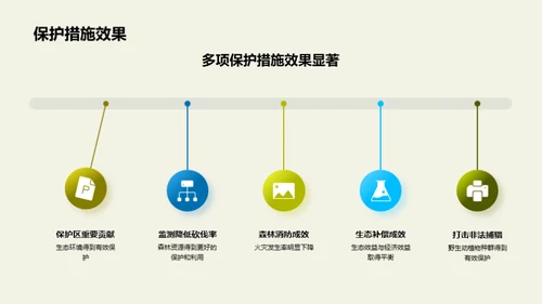 森林保护的未来蓝图