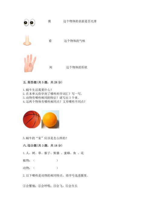 教科版一年级下册科学期末测试卷附参考答案【轻巧夺冠】.docx