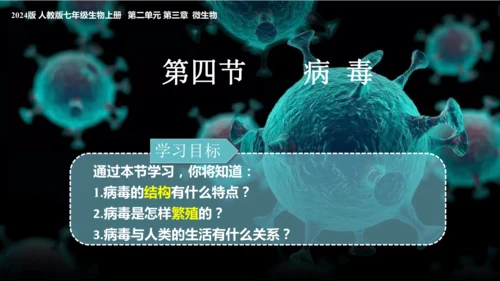 人教版生物七年级上册2.3.4《病毒》课件(共19张PPT)+视频素材