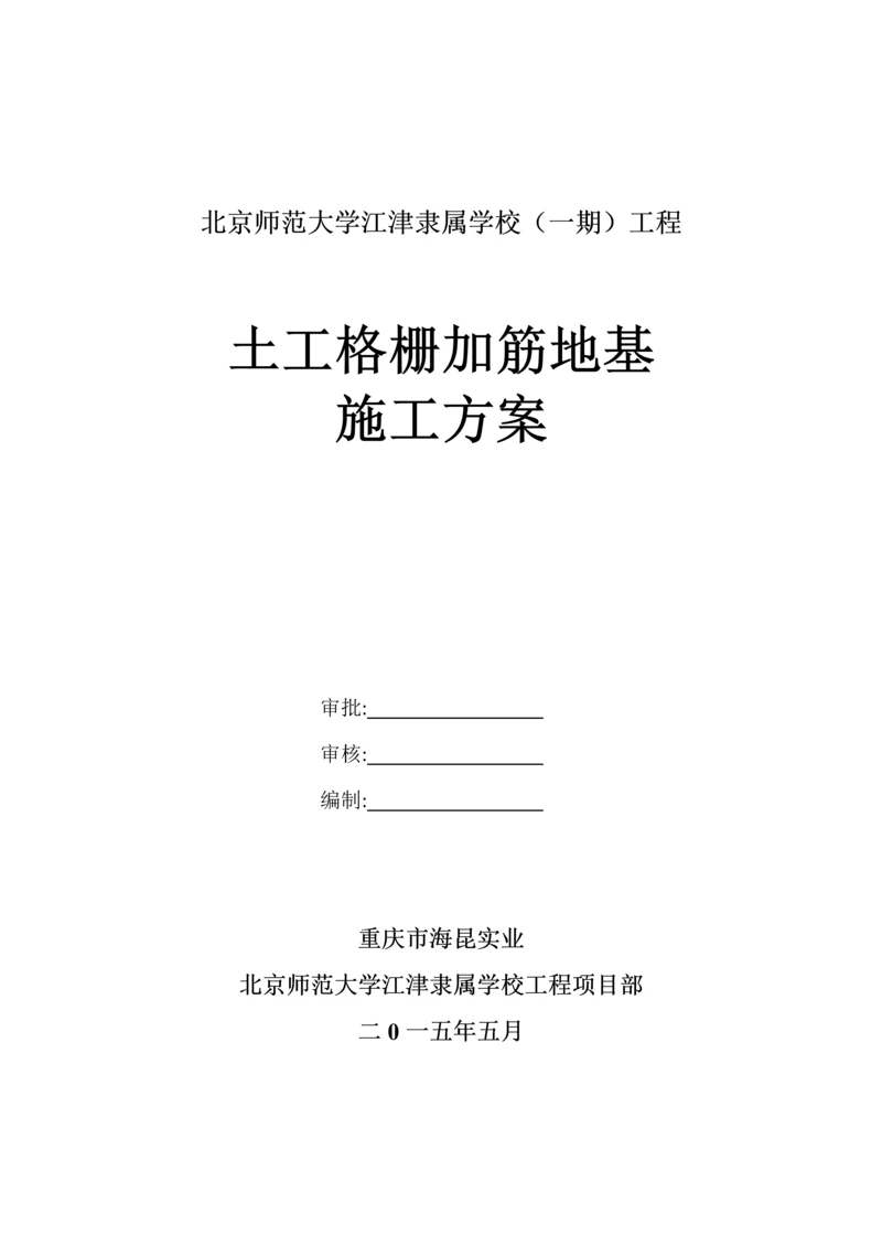 土工格栅综合标准施工专业方案.docx