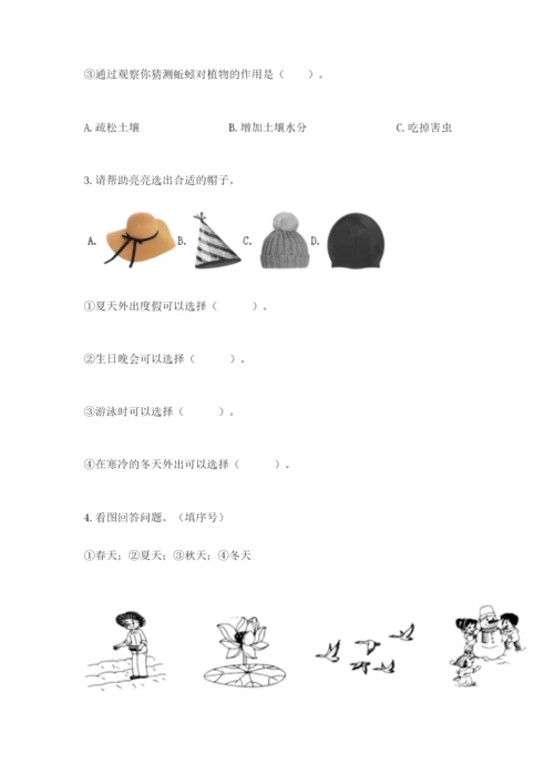 教科版二年级上册科学期末考试试卷附答案【模拟题】.docx