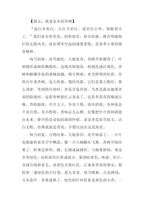 我家的杏树作文500字.docx