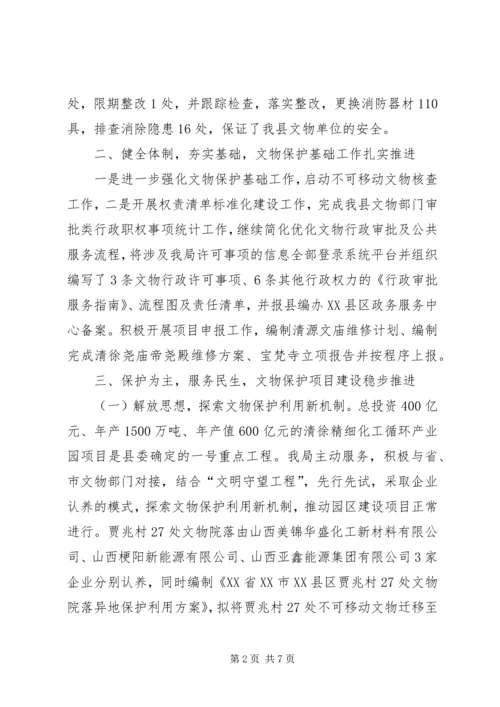 文物旅游局工作总结及XX年工作计划.docx