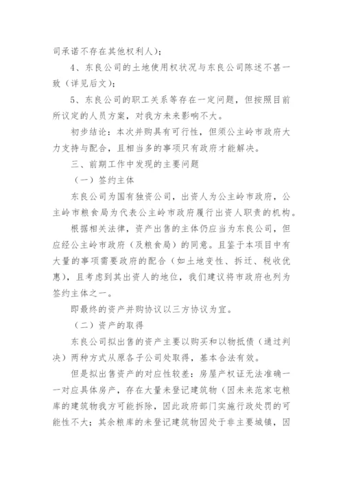 资产收购可行性研究报告.docx