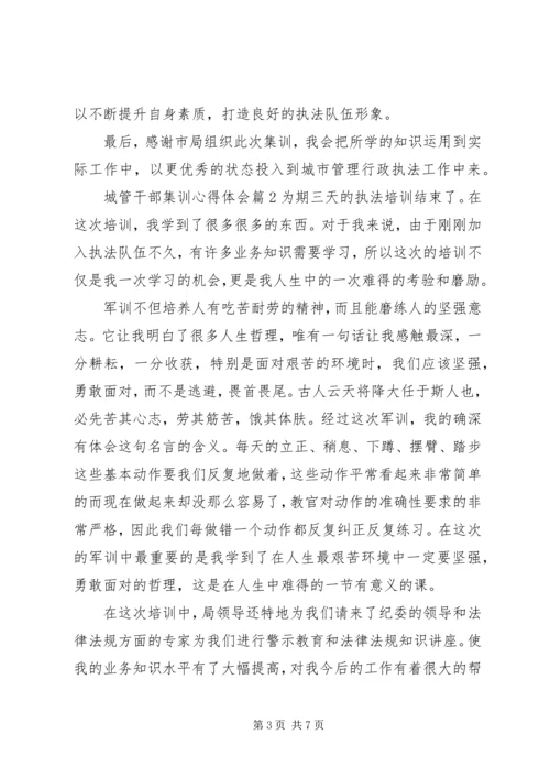 城管干部集训心得体会.docx