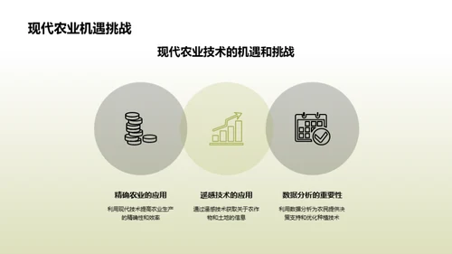 玉米高效种植新纪元