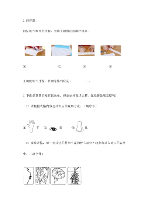 教科版一年级上册科学期末测试卷附参考答案【模拟题】.docx