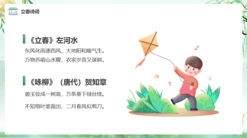 立春春风杨柳通用PPT模板