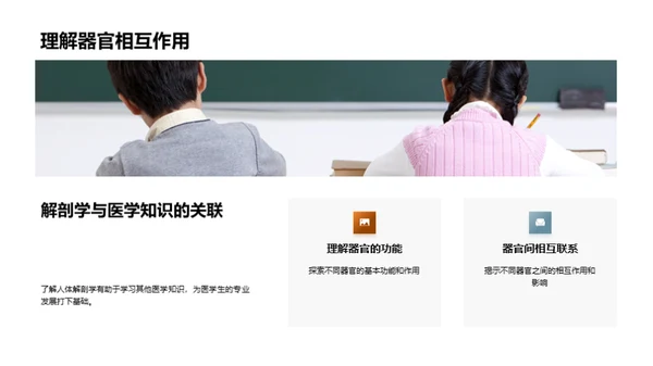 探索解剖学魅力