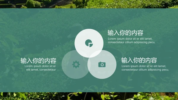 绿茶中国风茶道茶文化绿茶茶味通用PPT模板