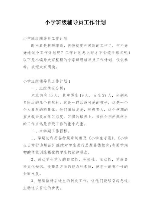 小学班级辅导员工作计划.docx