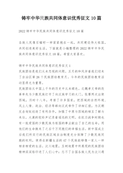 铸牢中华民族共同体意识优秀征文10篇.docx