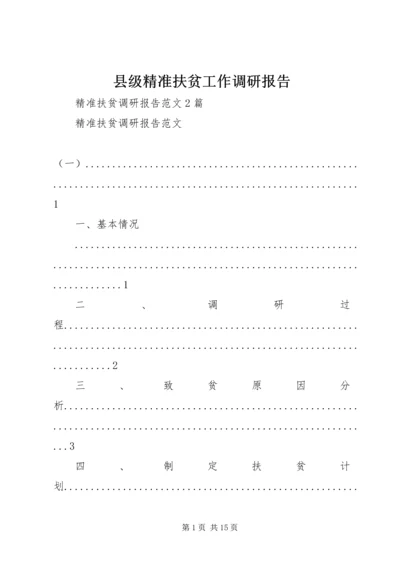 县级精准扶贫工作调研报告 (3).docx