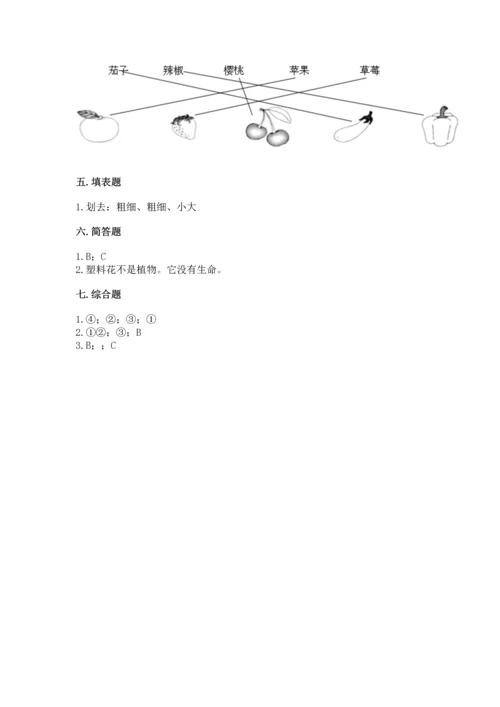 教科版科学一年级上册第一单元《植物》测试卷含答案（模拟题）.docx