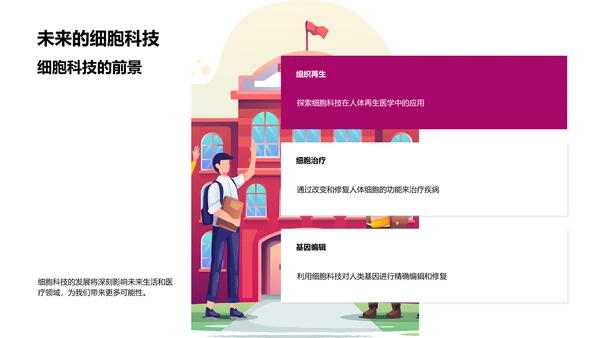 细胞知识讲解PPT模板