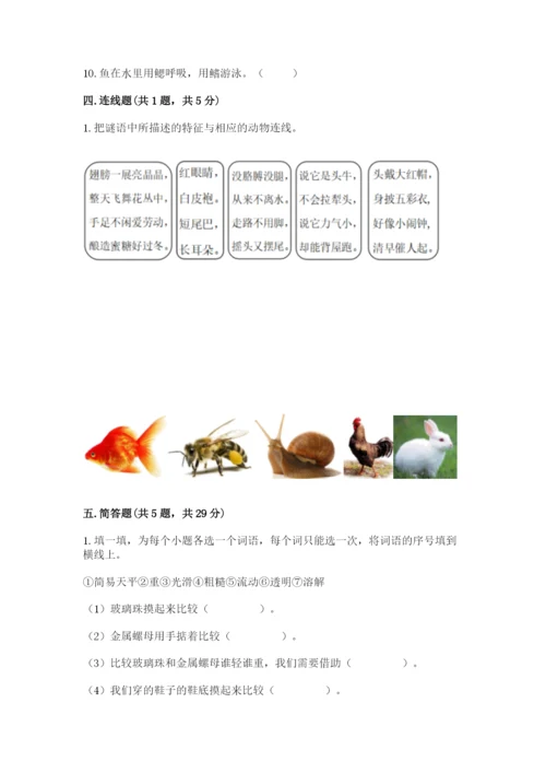 教科版一年级下册科学期末测试卷【研优卷】.docx