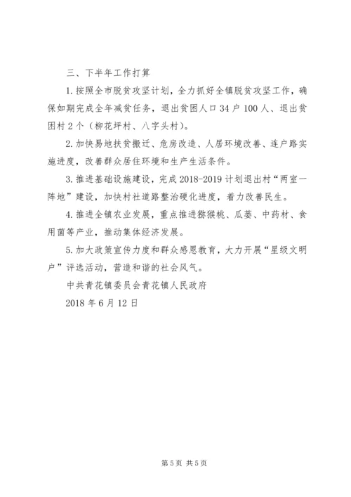 乡镇政府关于某年上半年脱贫攻坚工作总结及下半年工作计划情况的报告.docx