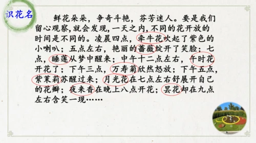 13《花钟》（课件）