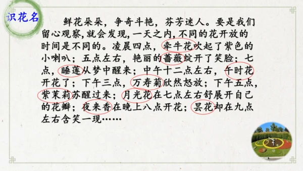 13《花钟》（课件）