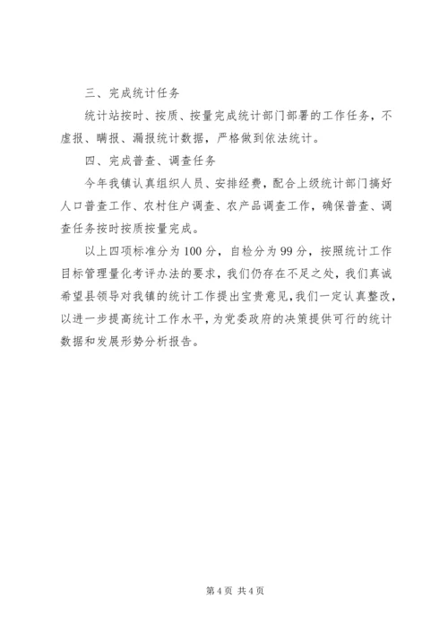 乡镇统计自查报告.docx