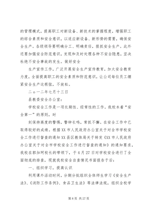 安全检查自查报告 (7).docx