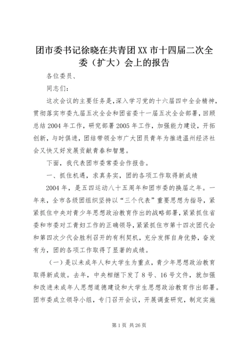 团市委书记徐晓在共青团XX市十四届二次全委（扩大）会上的报告.docx