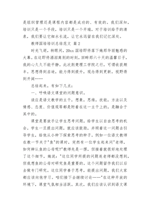 教师国培培训总结范文.docx