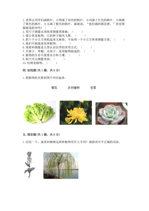 教科版一年级上册科学期末测试卷（轻巧夺冠）.docx