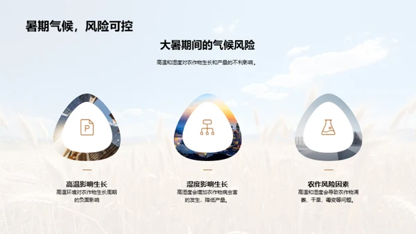 大暑农业应对策略