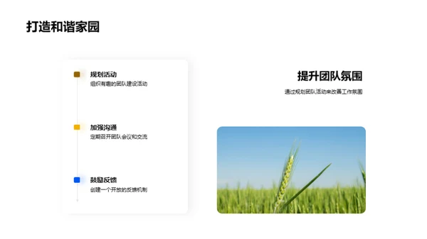 团队效能全面分析