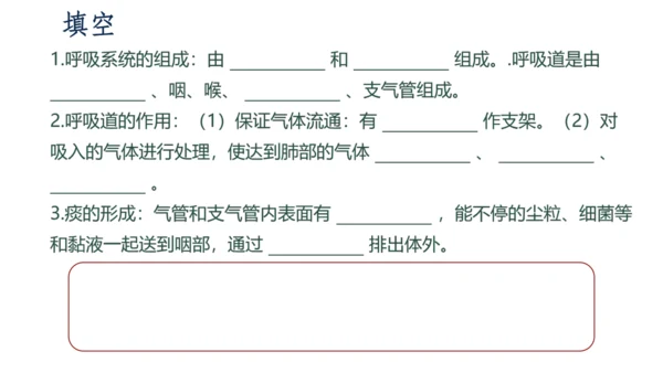 4.3.1 呼吸道对空气的处理课件(共16张PPT)人教版七年级下册