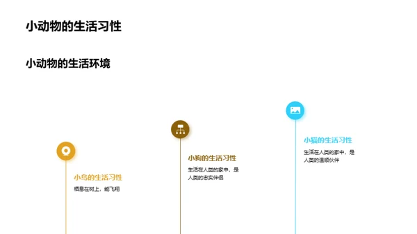 我们的小小动物园