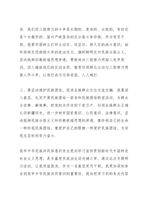 筑牢中华民族共同体意识发生亮剑.docx