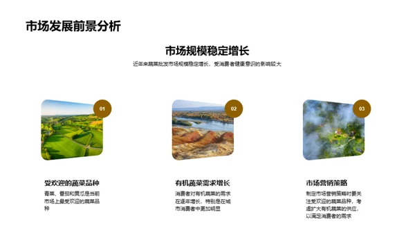 掌握蔬菜市场脉动