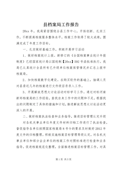 县档案局工作报告 (7).docx