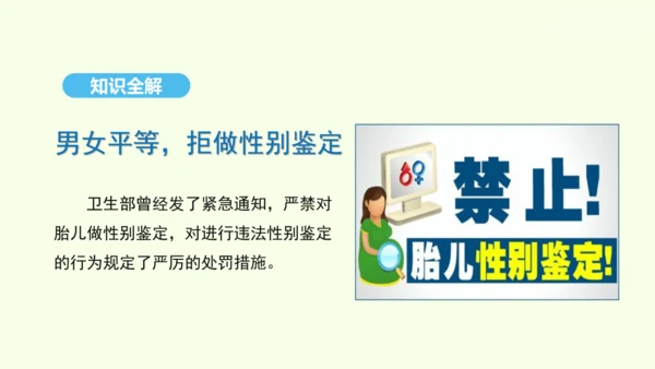7.2.4人的性别遗传课件-人教版生物八年级下册(共31张PPT)
