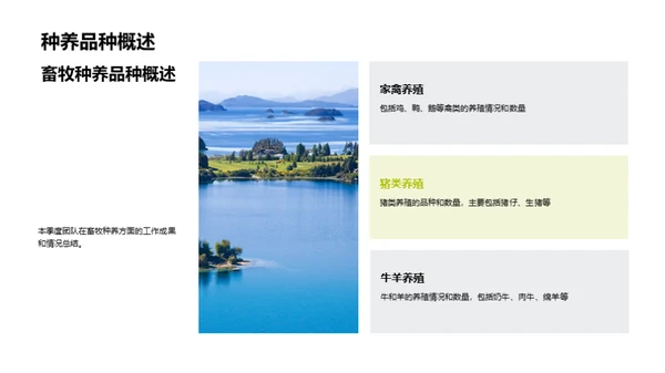 畜牧业季度绩效回顾