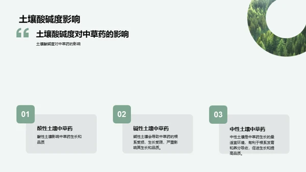 中草药种植全攻略