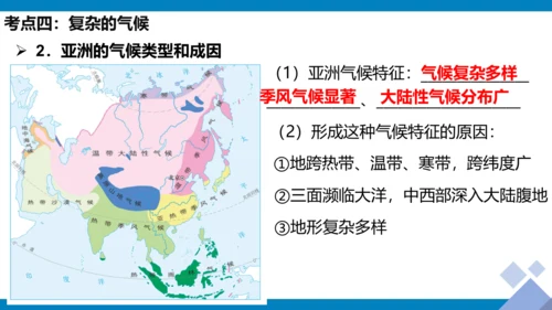 第六章 我们生活的大洲（课件38张）-2023-2024学年七年级地理下册期中复习（人教版）