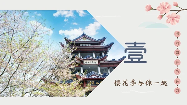 岛国之旅浪漫樱花季通用PPT模板