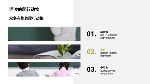 我们的小小动物园
