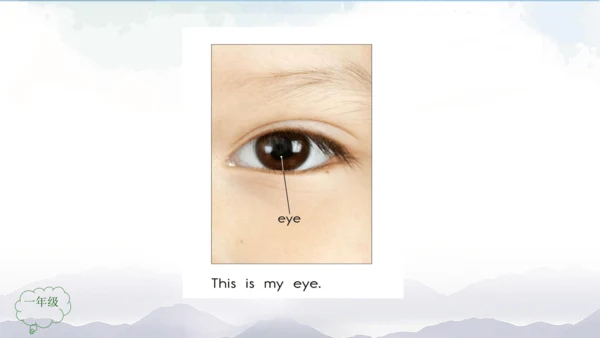 Unit 2 Face Lesson 3 课件共32张PPT)