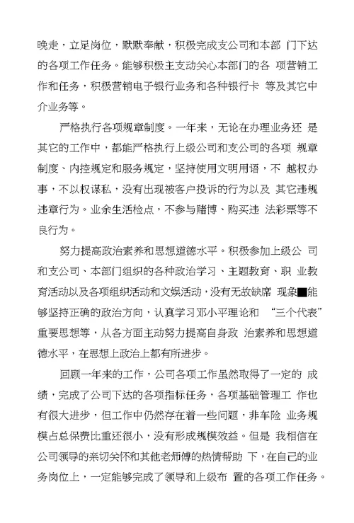 个人年终工作自我鉴定
