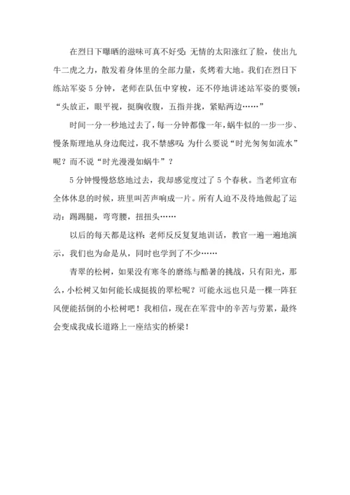 初中军训心得体会合集五篇（三）.docx