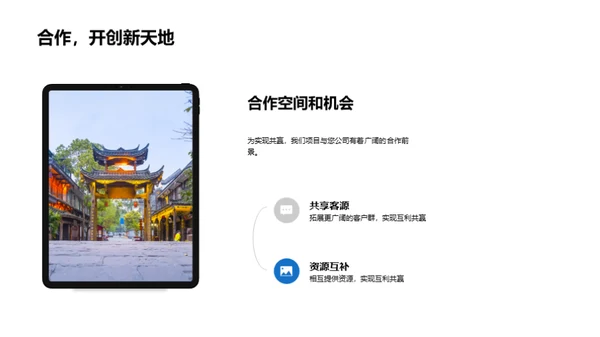 旅游项目合作策略